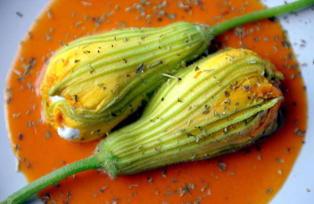 Fiore di zucchina